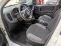 Fiat Panda Panda 1.2 Lounge 69cv Bianco - thumbnail 9