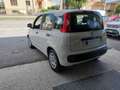 Fiat Panda Panda 1.2 Lounge 69cv Bianco - thumbnail 8