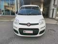 Fiat Panda Panda 1.2 Lounge 69cv Bianco - thumbnail 3