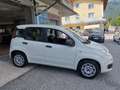 Fiat Panda Panda 1.2 Lounge 69cv Bianco - thumbnail 5
