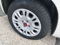 Fiat Panda Panda 1.2 Lounge 69cv Blanc - thumbnail 20