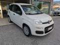 Fiat Panda Panda 1.2 Lounge 69cv Bianco - thumbnail 4