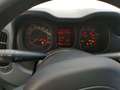 Fiat Panda Panda 1.2 Lounge 69cv Bianco - thumbnail 11