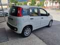 Fiat Panda Panda 1.2 Lounge 69cv Bianco - thumbnail 6
