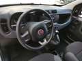 Fiat Panda Panda 1.2 Lounge 69cv Bianco - thumbnail 10