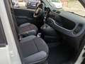 Fiat Panda Panda 1.2 Lounge 69cv Blanc - thumbnail 18