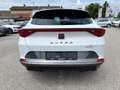 CUPRA Formentor 1,5 TSI DSG | NP: €45.000 Weiß - thumbnail 4