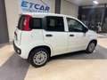 Fiat Panda Panda 1.0 van  hybrid Blanc - thumbnail 6