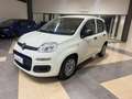 Fiat Panda Panda 1.0 van  hybrid Blanc - thumbnail 3