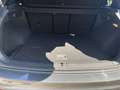 Volkswagen Tiguan 2.0 TSI 230CV R-LINE 4 MOTION DSG Gris - thumbnail 7