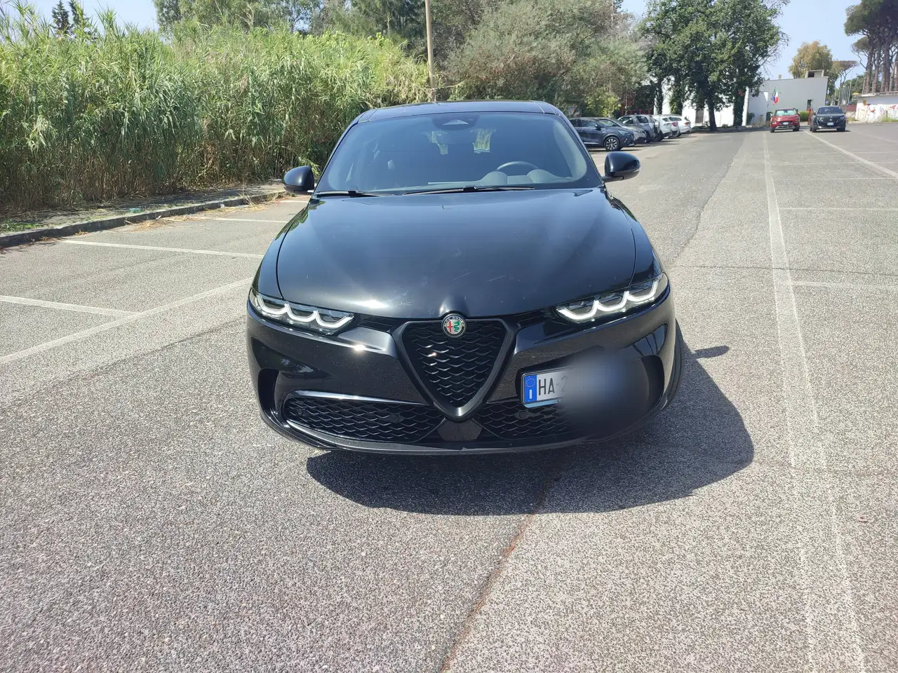 Alfa Romeo Tonale 2026