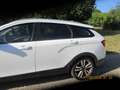 Lada Vesta Lada Vesta SW Cross 1,6 Standard Standard Weiß - thumbnail 8
