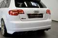 Audi RS3 Sportback q.S-Tr.*Gewinde*OZ*BULL X*Historie Weiß - thumbnail 27