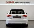 Audi RS3 Sportback q.S-Tr.*Gewinde*OZ*BULL X*Historie Weiß - thumbnail 25