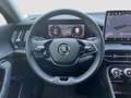 Skoda Kodiaq 1.5 eTSI SELECTION CAM LM18 E-KLAPPE NAVI Zwart - thumbnail 14