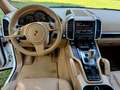 Porsche Cayenne 3.0 V6 tdi-NON E COME LE ALTRE LEGGERE DESCRIZIONE Wit - thumbnail 12