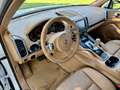 Porsche Cayenne 3.0 V6 tdi-NON E COME LE ALTRE LEGGERE DESCRIZIONE Wit - thumbnail 7