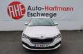 Skoda Scala 1.5 TSI Clever Business 17" PDC Sitzhz DAB Weiß - thumbnail 4
