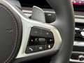 BMW X6 xDrive30d M-Sportpaket Pro Grau - thumbnail 27