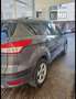 Ford Kuga Kuga 2.0TDCi Trend 4x2 120 Trend Gris - thumbnail 2