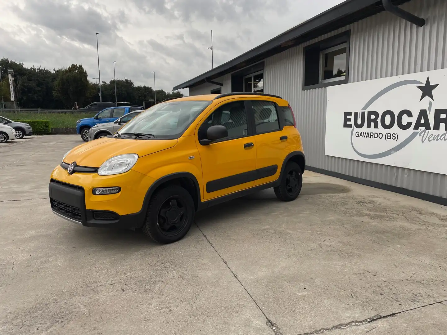 Fiat Panda Panda 1.3 mjt 16v 4x4 WILD soli 55.000km Gelb - 2
