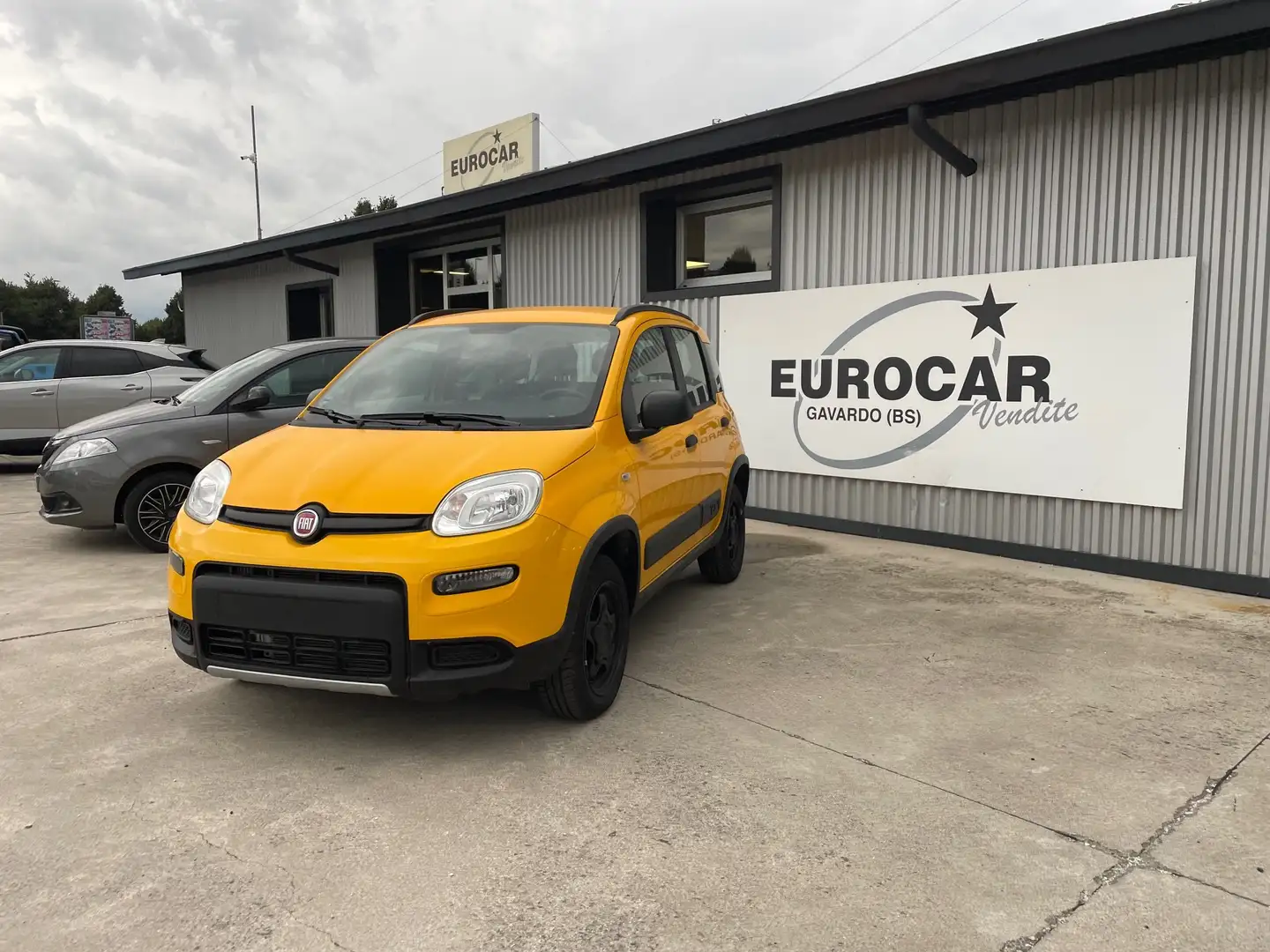 Fiat Panda Panda 1.3 mjt 16v 4x4 WILD soli 55.000km Gelb - 1