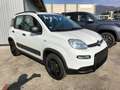 Fiat Panda Panda 1.3 mjt 16v 4x4 WILD soli 55.000km Bianco - thumbnail 2