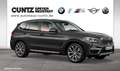 BMW X3 xDrive30d xLine DrivingAssistant Head-Up Panorama Grau - thumbnail 8