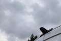 Mercedes-Benz Sprinter 316 2.2 CDI 366 DC Wit - thumbnail 25