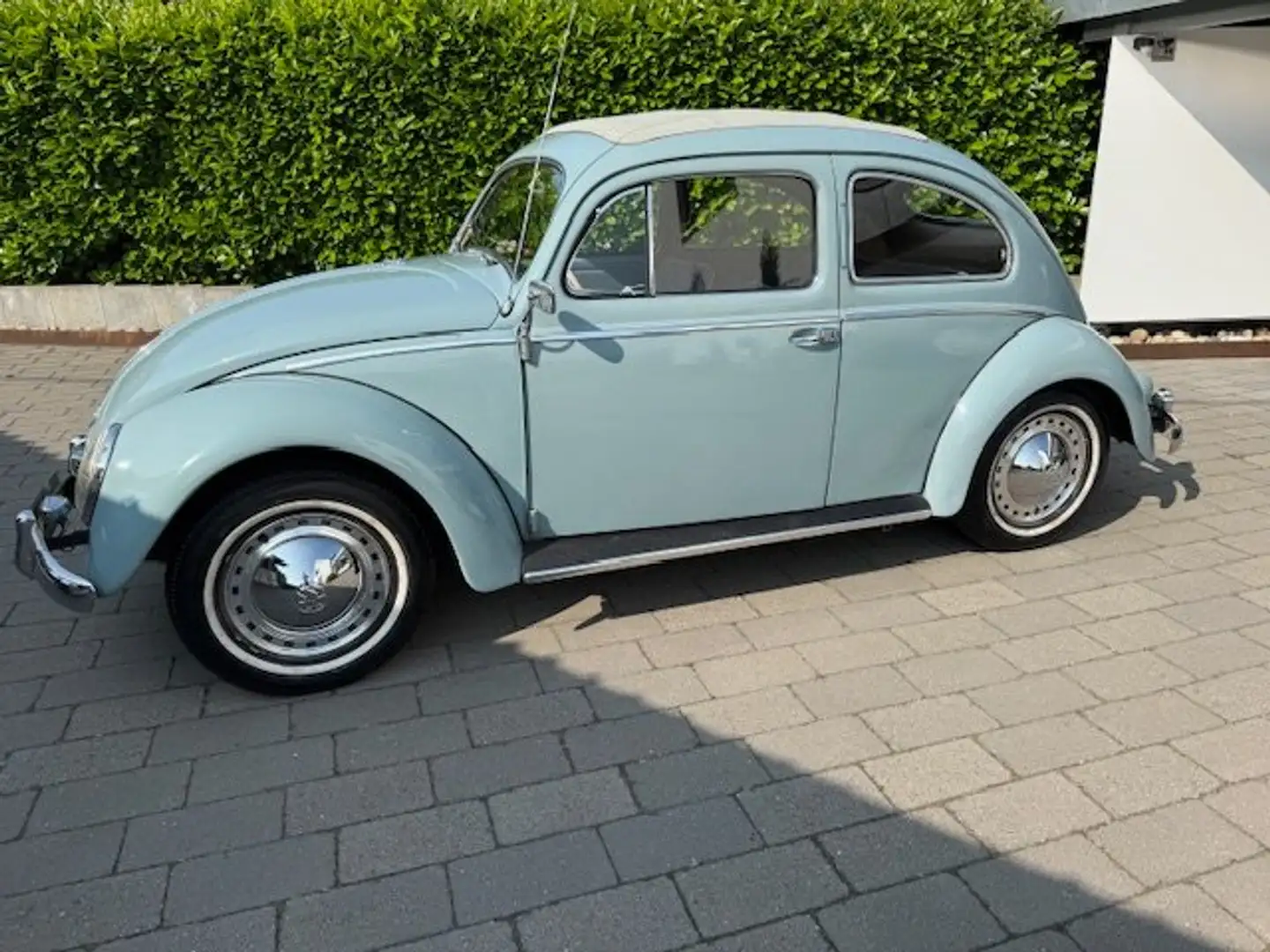 Volkswagen Käfer Ovali 1956 Blau - 1