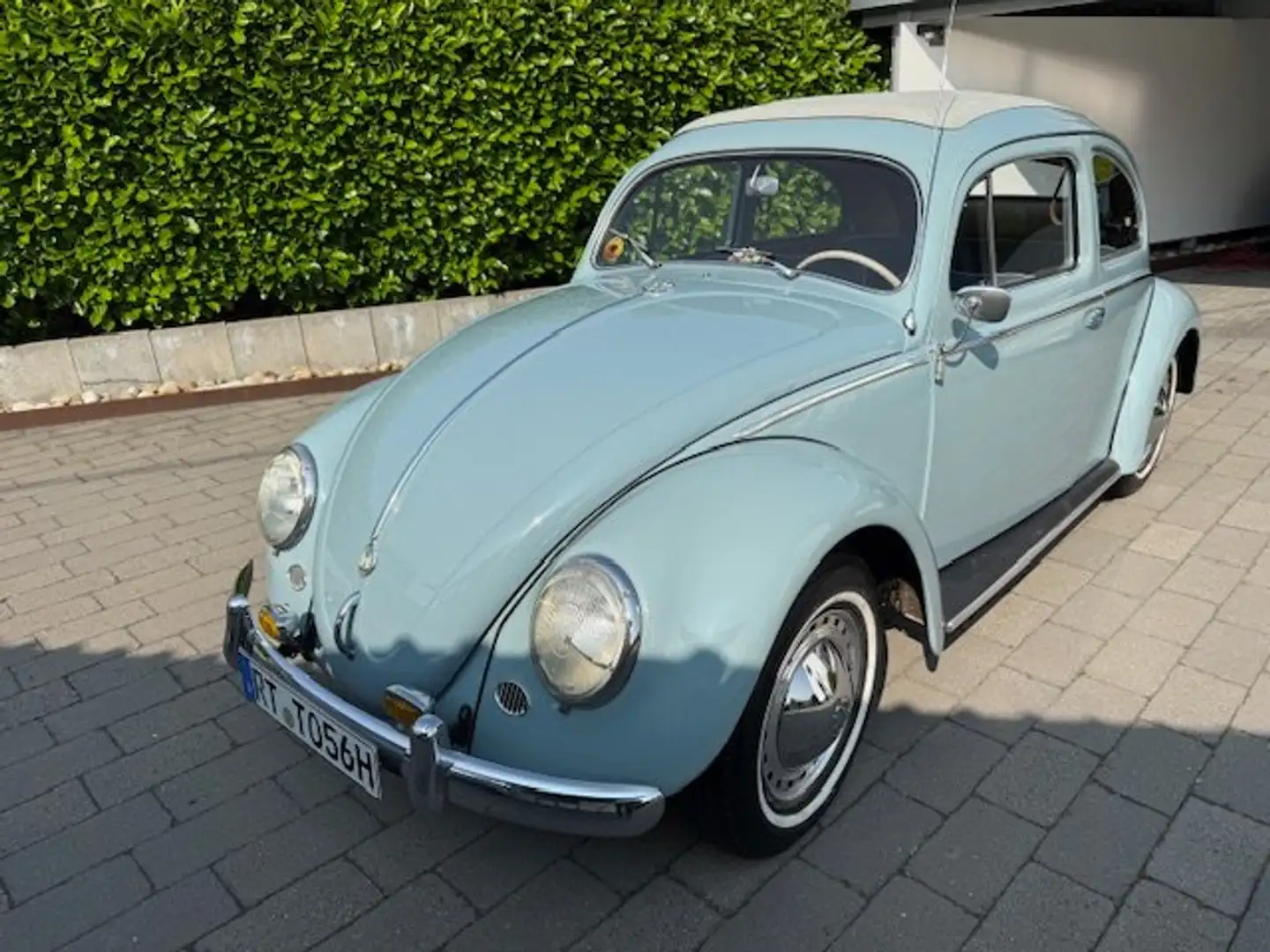 Volkswagen Käfer Ovali 1956 Blau - 2