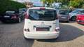 Citroen C3 Picasso 1.6 HDi Exclusive Neopatentati Bianco - thumbnail 5