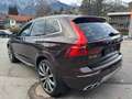 Volvo XC60 Inscription AWD Braun - thumbnail 7