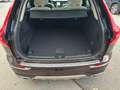 Volvo XC60 Inscription AWD Braun - thumbnail 19