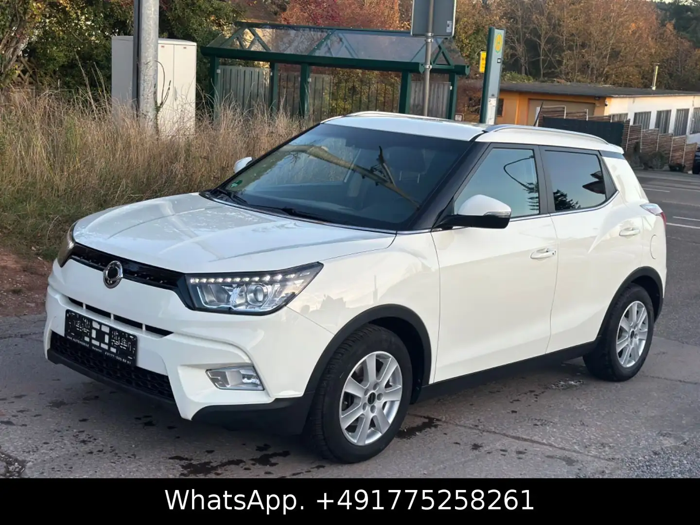 SsangYong XLV 1.6 e-XDi 160 QUARTZ 4WD Weiß - 1