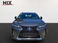 Lexus UX 300e Komfort+Executive Paket LED Grau - thumbnail 5