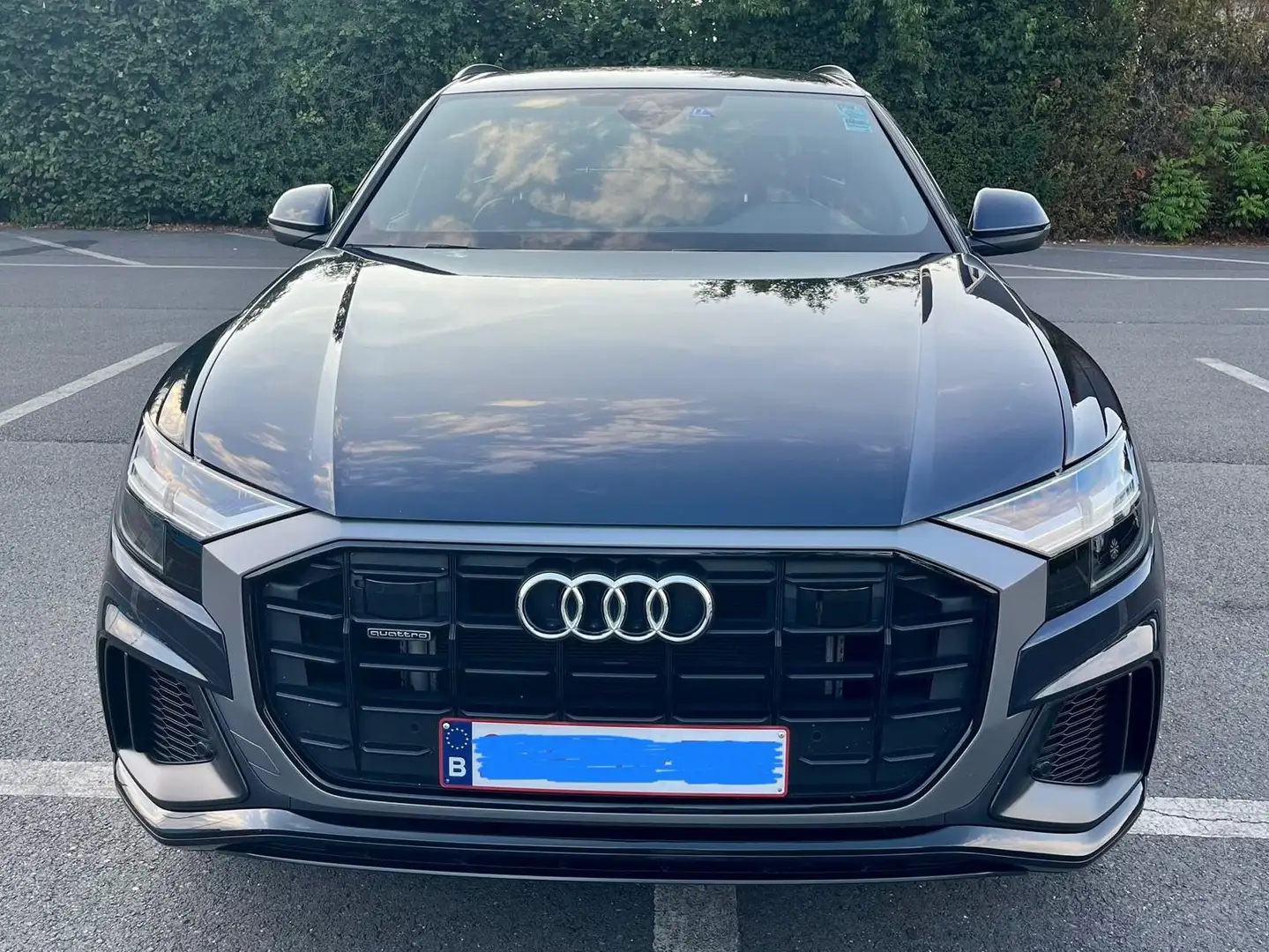 Audi Q8 Q8 55 TFSIe quattro tiptronic S-line Bleu - 2