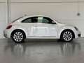 Volkswagen Beetle 1.6 TDI Design Weiß - thumbnail 6