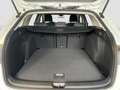 Volkswagen Golf Variant Life 1.5 TSI 116 PS ACC Kamera Weiß - thumbnail 20