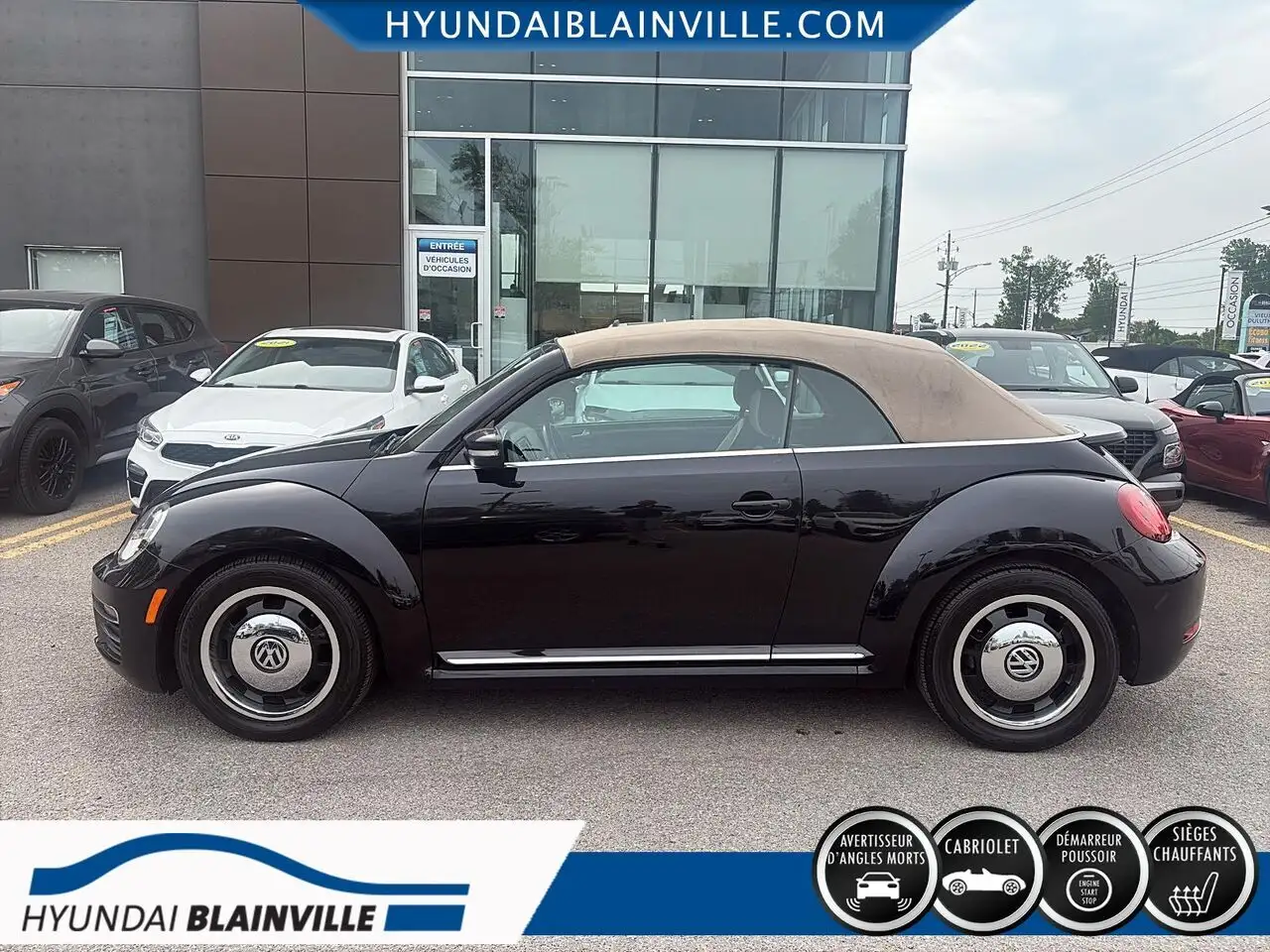 Volkswagen Beetle fotografie Volkswagen Beetle