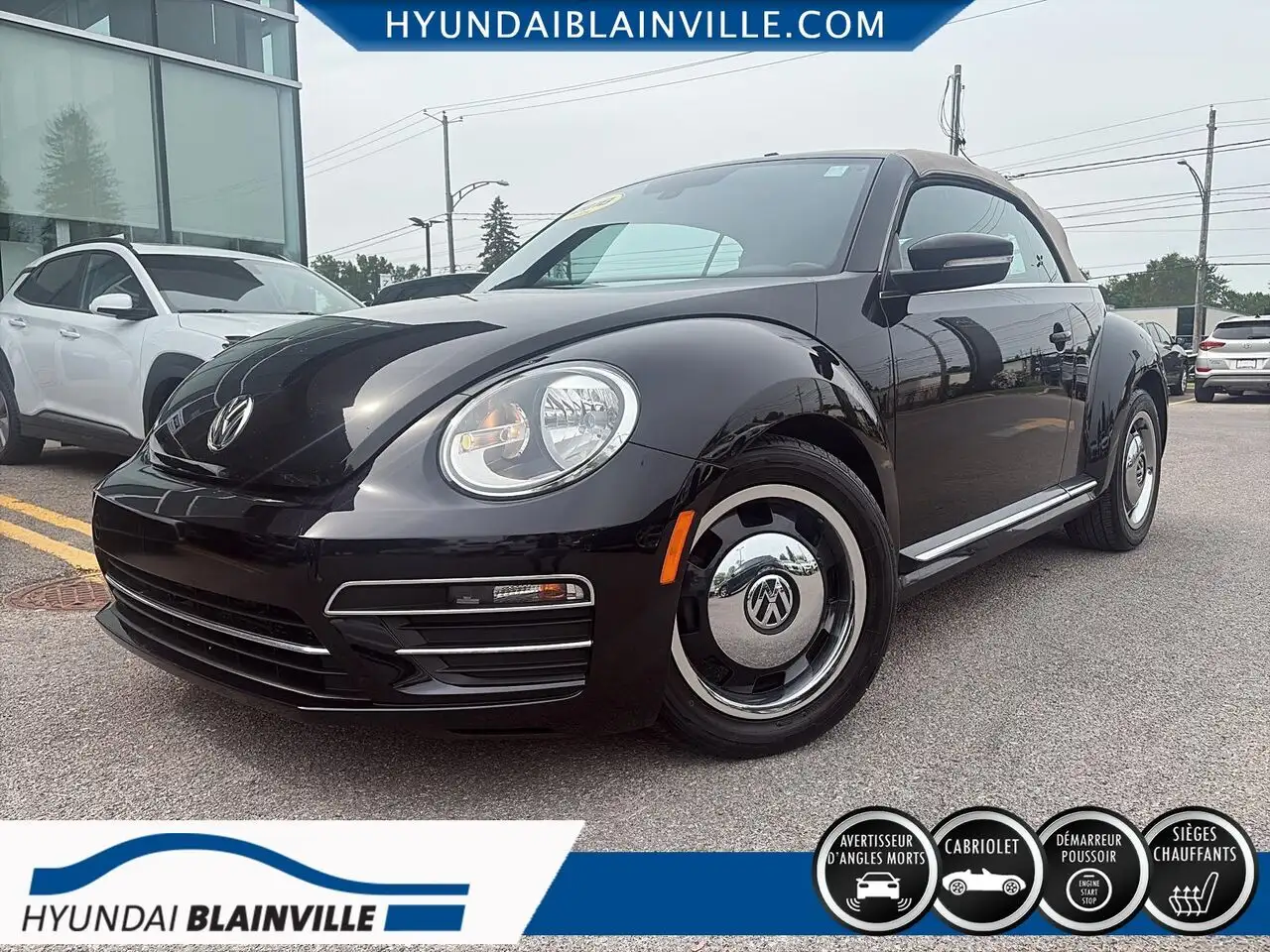 Volkswagen Beetle fotografie Volkswagen Beetle
