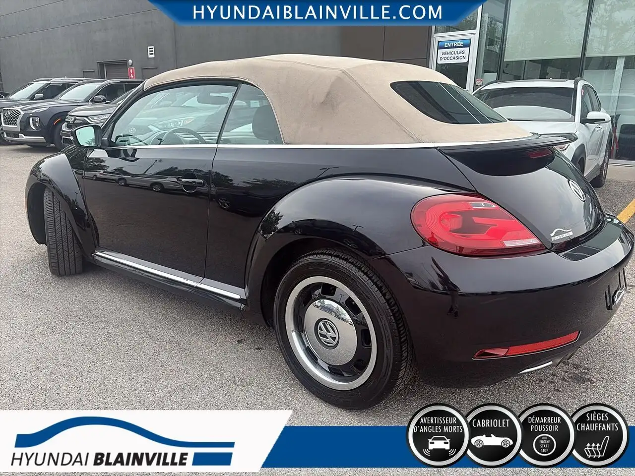 Volkswagen Beetle fotografie Volkswagen Beetle