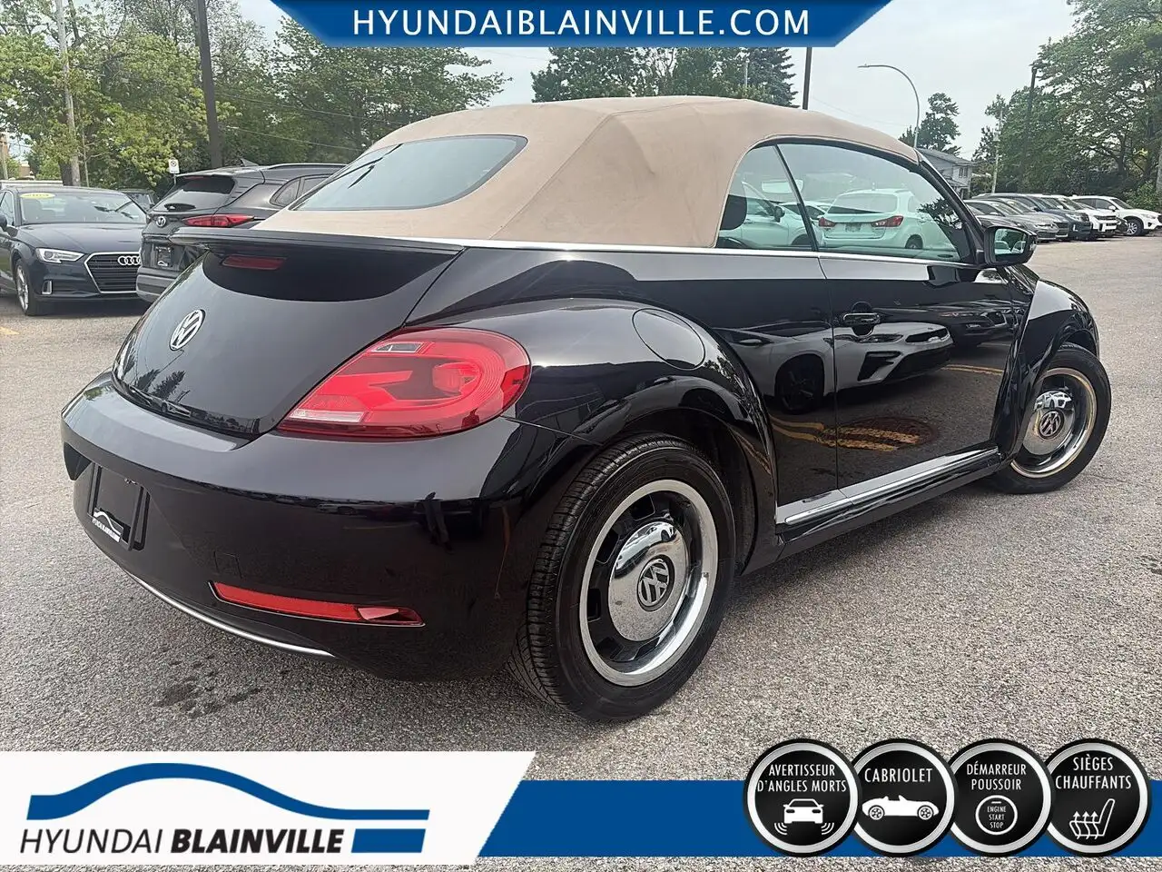 Volkswagen Beetle fotografie Volkswagen Beetle