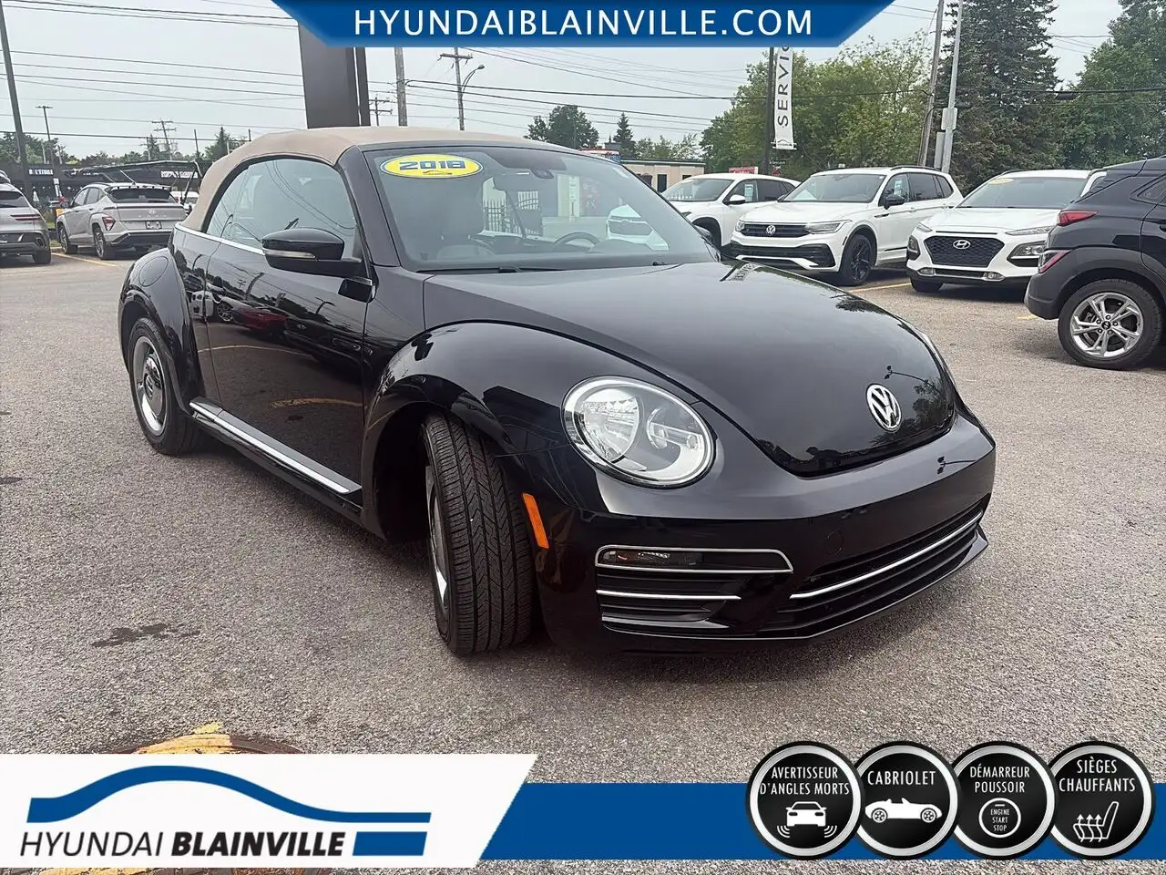 Volkswagen Beetle fotografie Volkswagen Beetle