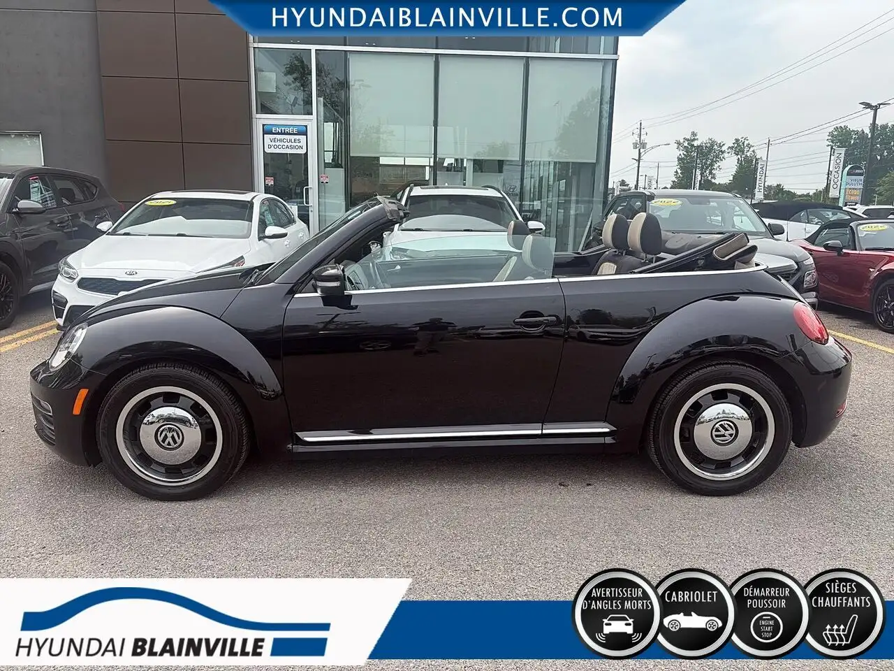 Volkswagen Beetle fotografie Volkswagen Beetle