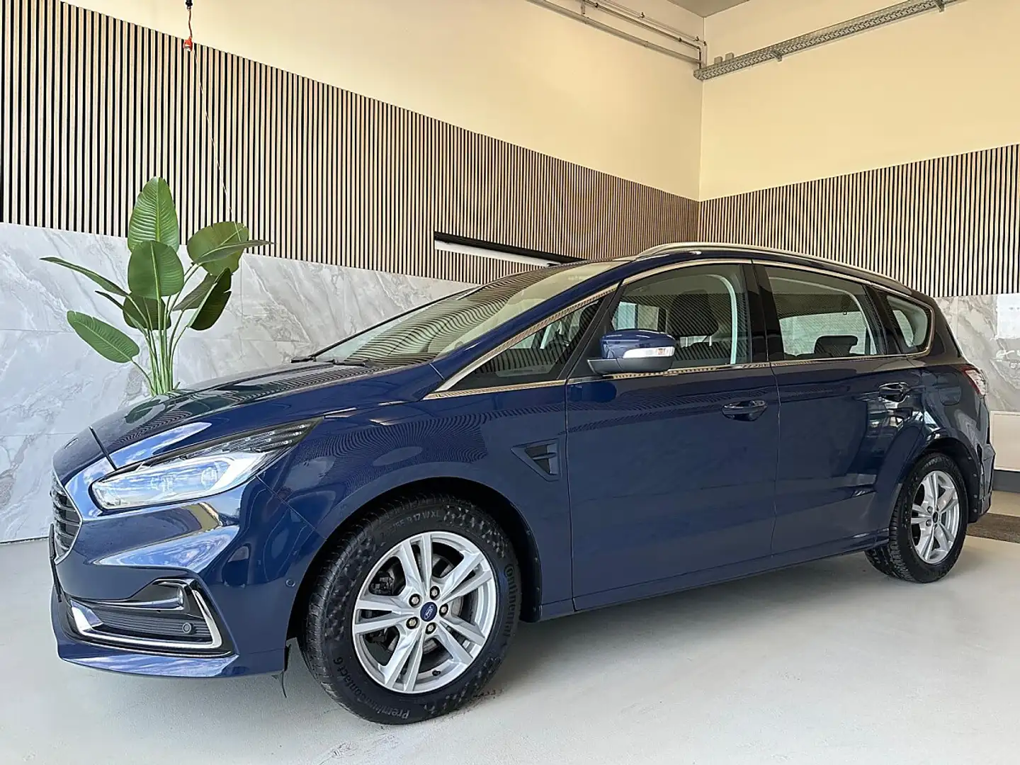 Ford S-Max 2.0 EcoBlau Titanium 7 Sitze, Start/Stopp,elekt... Blau - 2