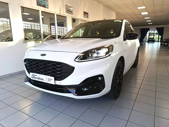 2023 Ford Kuga in White for sale