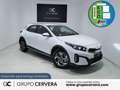 Kia XCeed 1.5 MHEV DCT Drive Blanco - thumbnail 1