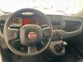 Fiat Panda PANDA 1.2 GPL 69 Cv Van 2 posti Euro6d POP Bianco - thumbnail 6