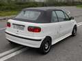 Fiat Punto Cabrio S Bertone 31th Anniversary Bianco - thumbnail 4